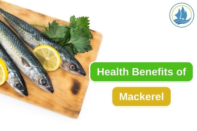 9 Health Benefits You Can Get from Mackerel